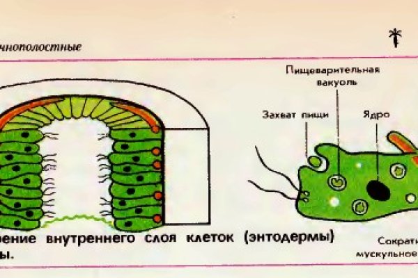 Почему кракен не блокируют